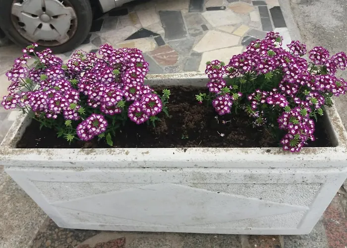 Vicino Al Mare Appartamento Giardini Naxos